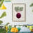 Shuffle IV - Matted and Framed Under Acrylic Glass, Large Living Room Wall Art-1741918656-1741918663