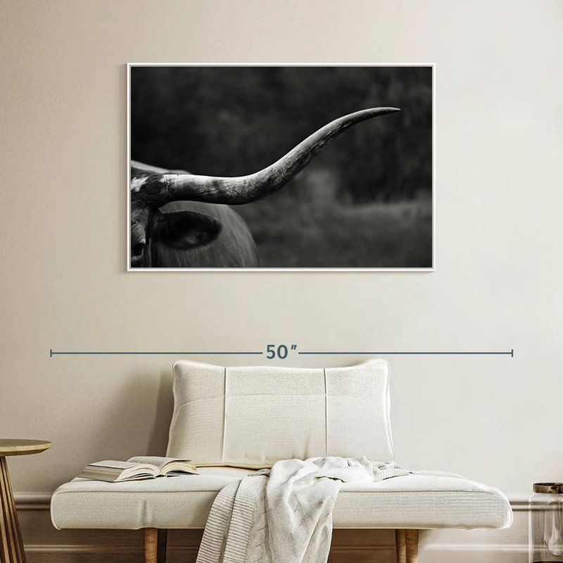 Texas Longhorn Bétail, Cadre flottant blanc, 40 po x 27 po