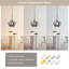 1 - Light Single Globe Pendant