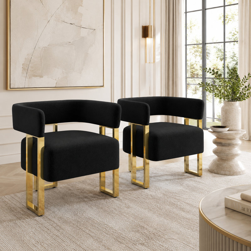 Accent Armchair With Metal Frame(Set Of 2), Black Teddy