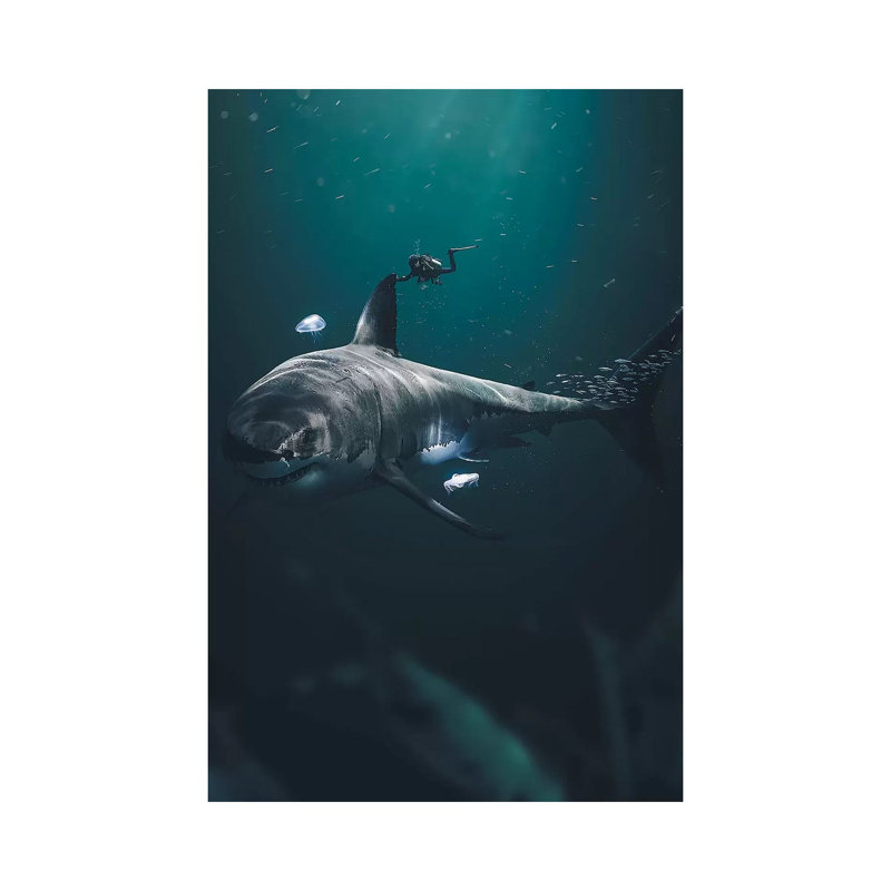 The Megalodon par Zenja Gammer - impression d'art graphique, Aucun mat, Toile tendue, H 18 po x l 12 po x 1,5 po