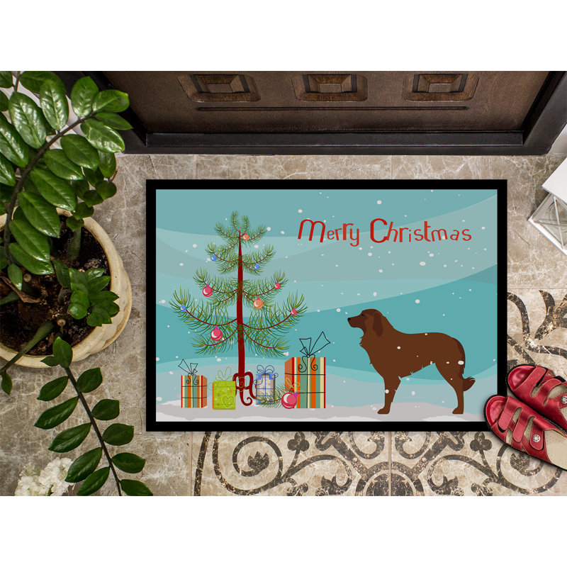 Tapis de porte d’intérieur anti-dérapant pour chien portugaise berger, Rectangle 1 pi 6 po x 2 pi 3 po