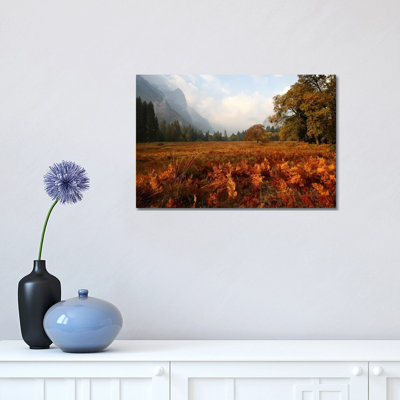 Meadow 1 Piece Wrapped Canvas Wall Art