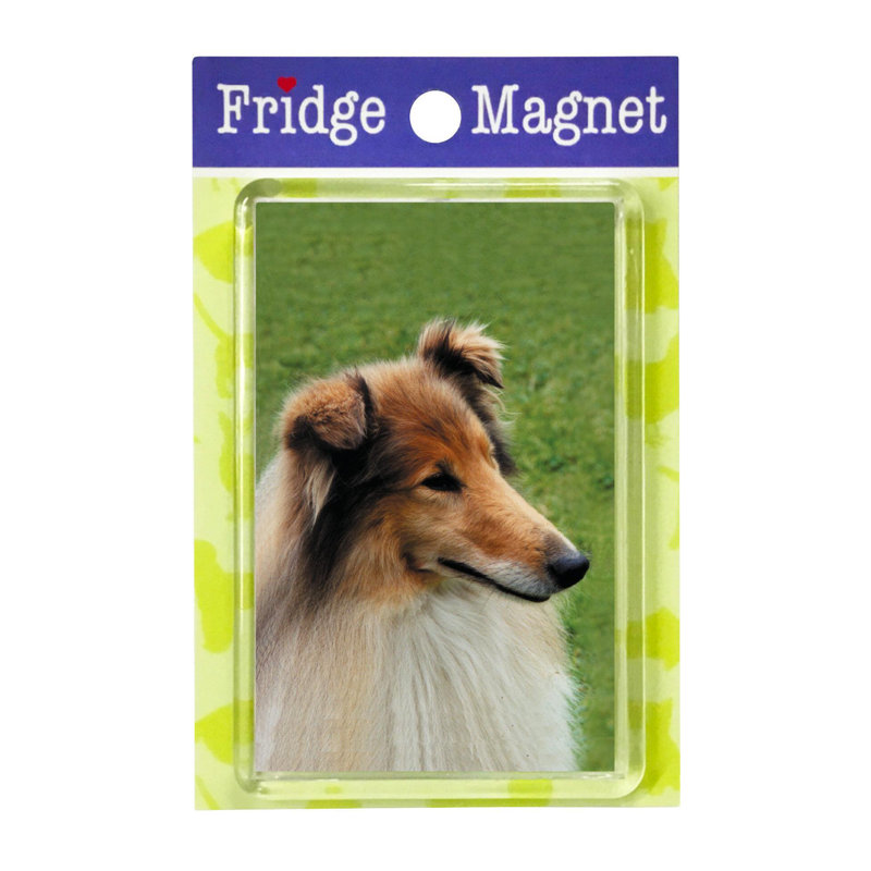 Fridge Magnet
