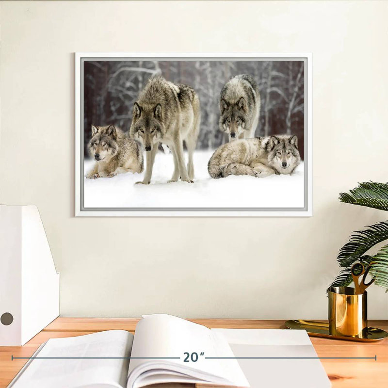 Loup, Cadre flottant blanc, 13 po x 9 po