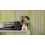 Brigitte 5 10.05m x 53cm Wallpaper-16952652