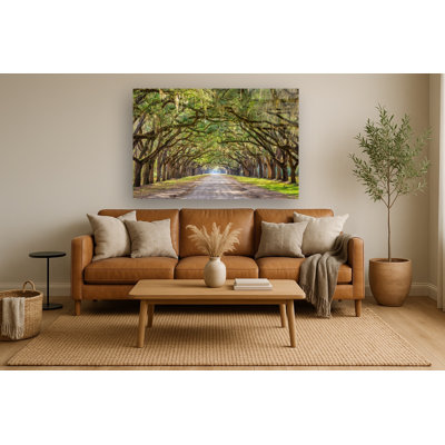 Oak Alley Frameless Tempered Glass Wall Art - 40" x 60"