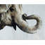 Trunk Space Print by Chelsea Art Studio-25704539-25704540