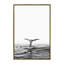 « baleinee », impression-43719269-43719275