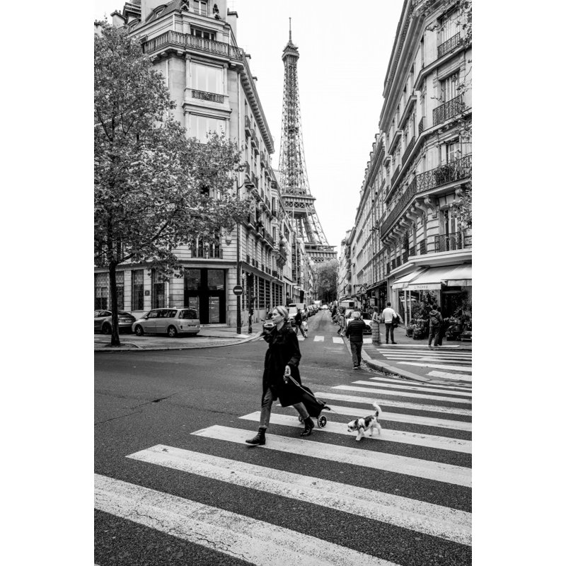 Wrapped Canvas Print