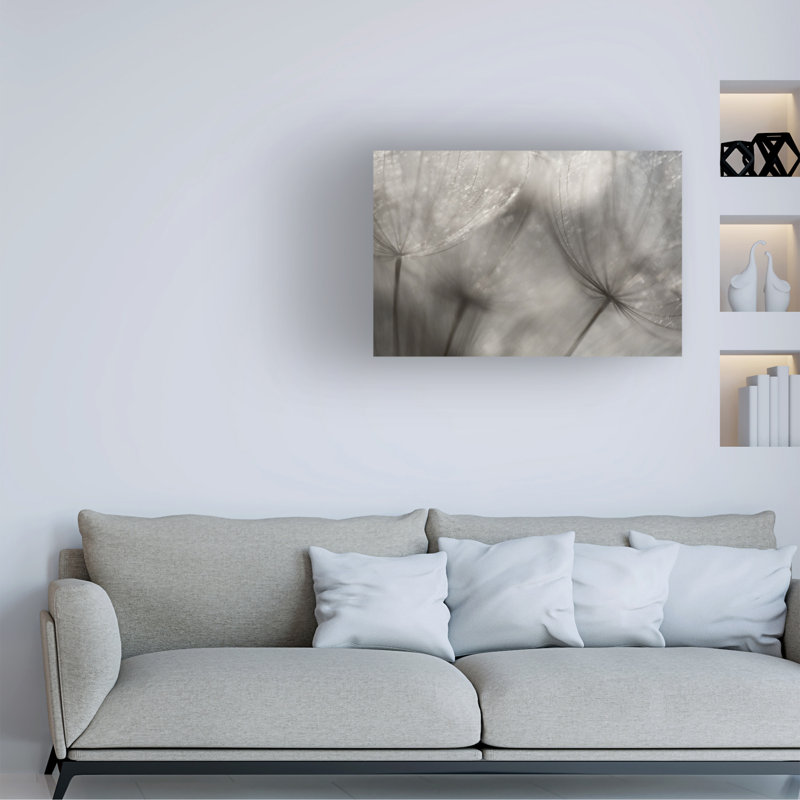 Art sur toile «Bachely Penny Myles Seedlings», H 22 po x l 32 po