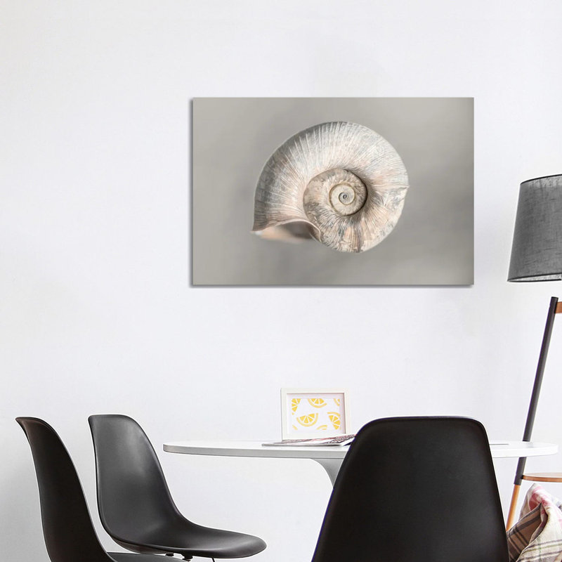 100 Years Of Shell Pearl Edition, 101.6 cm H x 66.04 cm W
