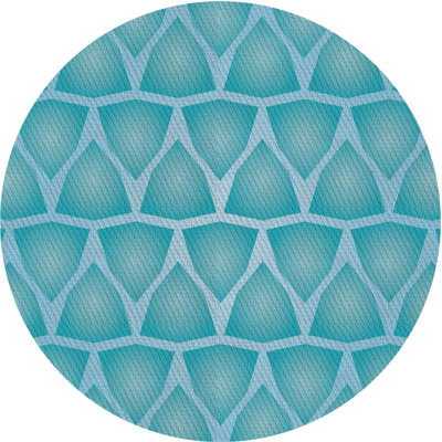 Indoor Rug
