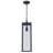 Iddings Outdoor Hanging Lantern-2143028528