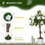 89.99 cm H Artificial Rose in Plastic Pot
