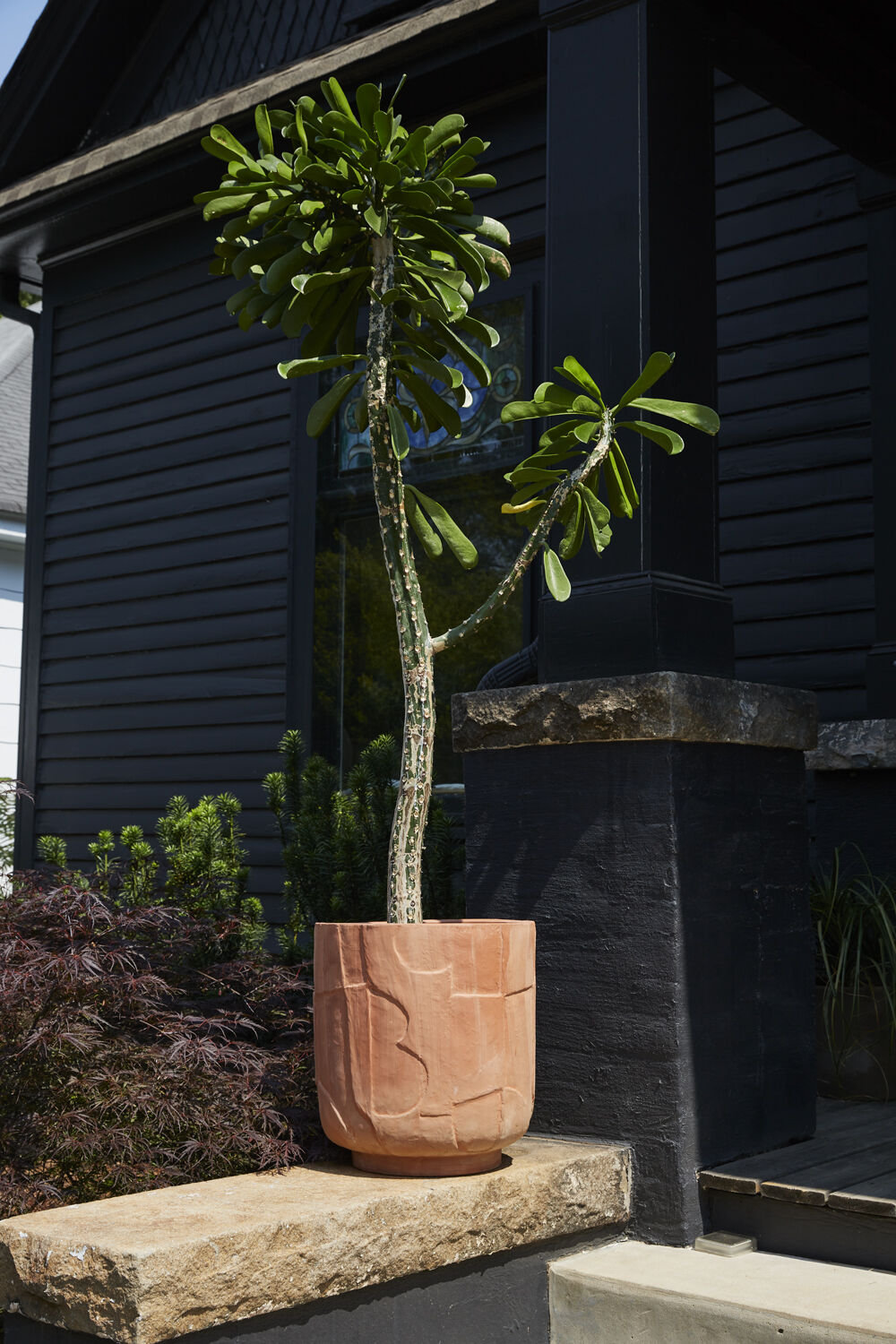 Abrahamson Ceramic Pot Planter, 17.25" H x 16" W x 16"D