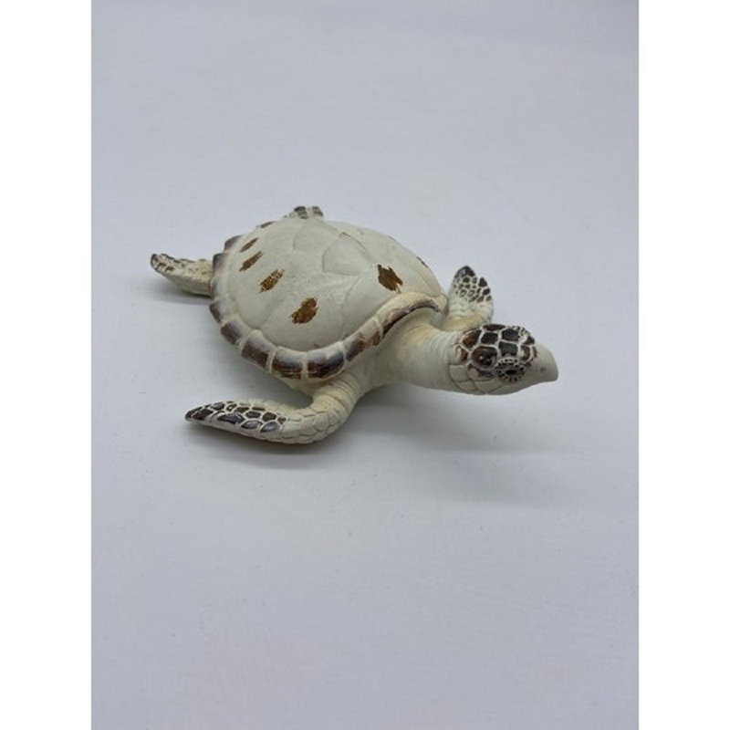 Tortue Penn, H 0,5 po x l 5,5 po x P 4 po