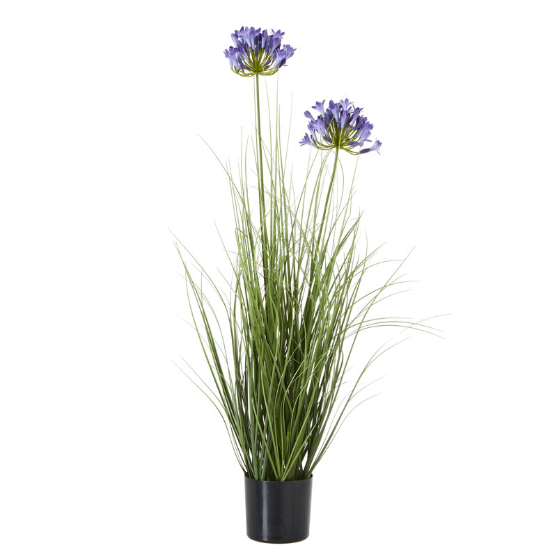 Andaiye 90cm Plant in Pot, Blue