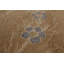 Rug & Kilim’S European Style Rug In Beige With Floral Patterns “Blue Carnation”