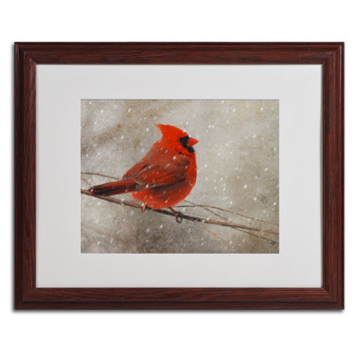 " Cardinal In Winter " Acrylic Print