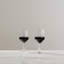 Bristol Glass Red Wine Glass