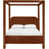 Velours cognac