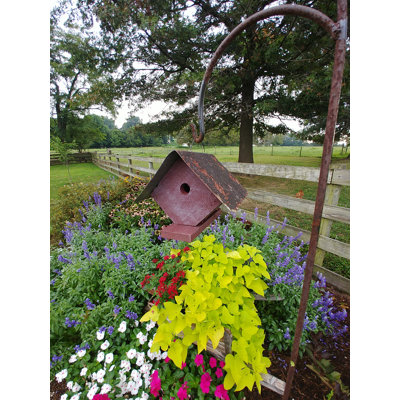 Maison d'oiseaux à oiseaux 7,5 po x 8 po x 9,5 po Wellsville