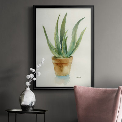 #VALUE! " Succulent IV "