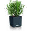 Cube Pot Planter-16493164