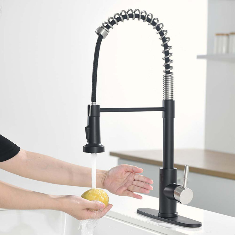 HOOSENG Pull Down Touchless Kitchen Faucet, Silver/Matte Black