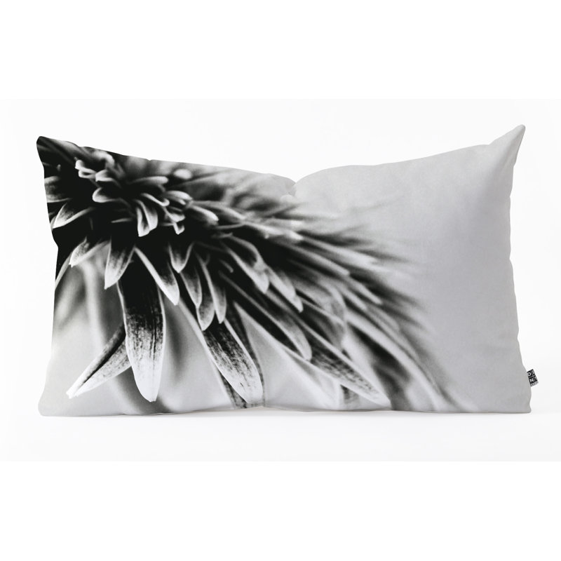Coussin lombaire, H 14 po x l 23 po x P 5 po