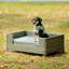 Lit pour chien Seasonal PE-297398325-302443368