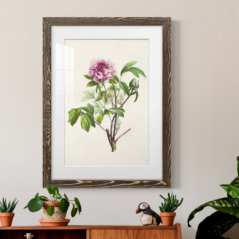 «Pretty Botanicals V», cadre photo, Cadre noyer, H 44 po x l 31 po x P 1 po