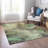 Decicco Washable Abstract Indoor / Outdoor Rug-1998333387