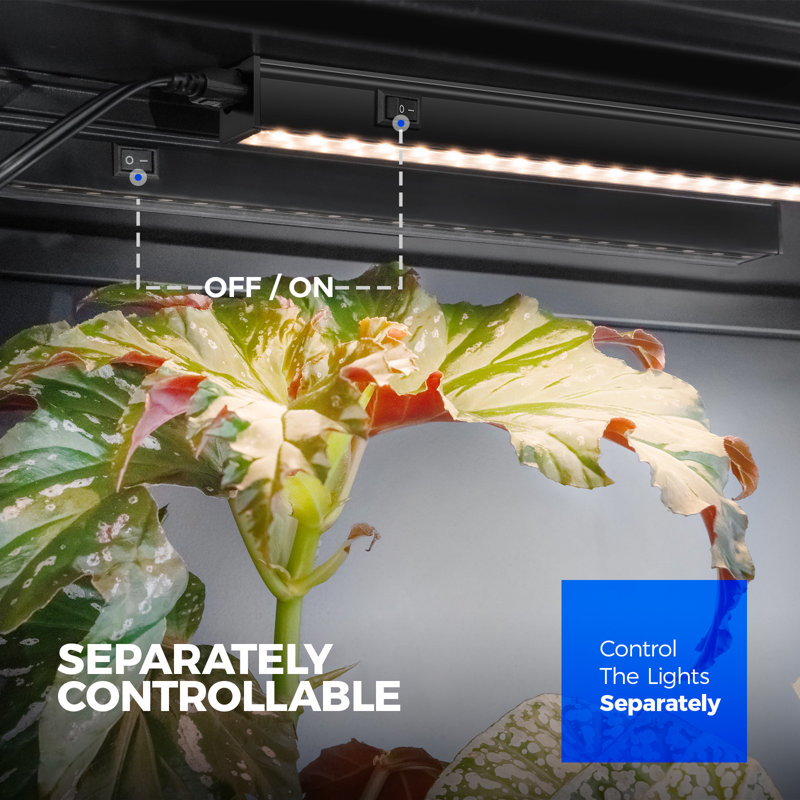 Barrina T5 Grow Lights For Plants d'intérieur à spectre complet, 1 pi 10 W (2 x 5 W), plante d'intérieur, jaune, 2 paquets