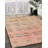 Ameja Indoor Rug-1666656502