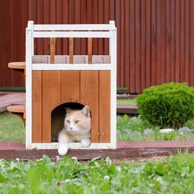 Maison pour chat Gayna