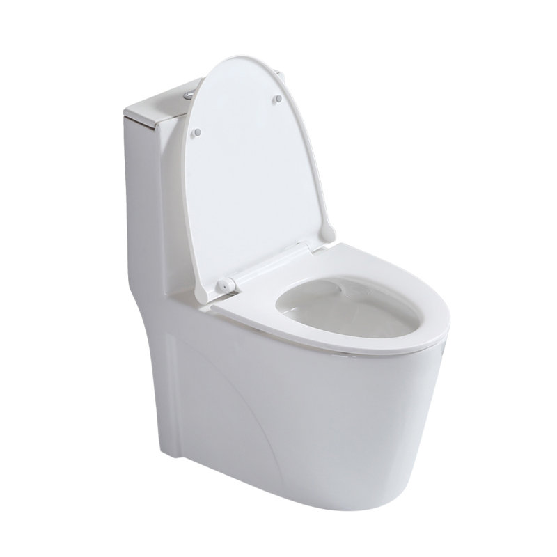 Petite toilette compacte une pièce à double chasse