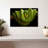 Green Boa Constrictor-107922360