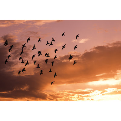 Red sky Wall Art on Canvas