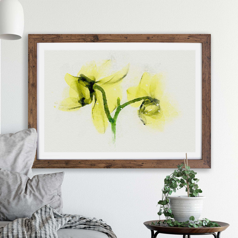 Yellow Orchid Flower - Framed Print, 33cm H x 45cm W x 2cm D, Walnut
