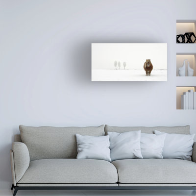 Wrapped Canvas Wall Art - Gert Van Den 'The Cold Pony' Wall Art for Living Room, Bedroom, or Office Décor - 10x19
