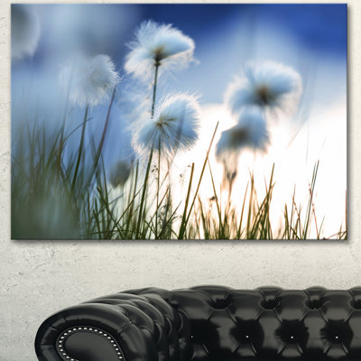 " Beautiful Polar White Flowers "