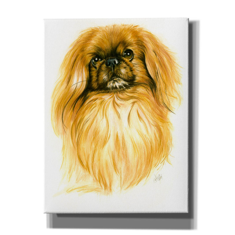 'Peking-Ese' by Barbara Keith, Canvas Wall Art, 16" H x 12" W x 0.75" D