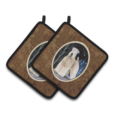 Red Barrel Studio® Bernadeta Polyester Potholder