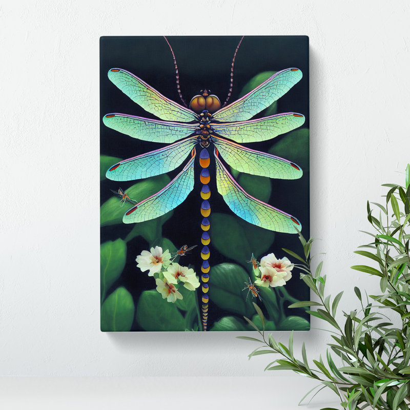 XC1022-1848X Dragonfly In Nature - Wrapped Canvas Print, 60cm H x 40cm W x 3cm D