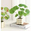 10,24 po plante artificielle