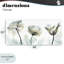 Jewels Of Passion, toile par Albert Koetsier-902652