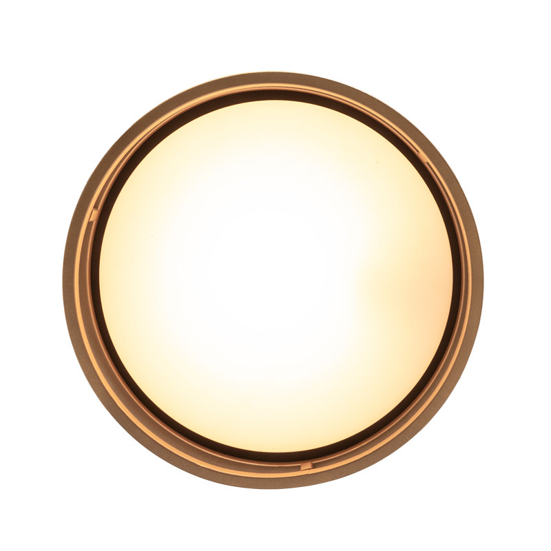 1 - Light Flush Mount
