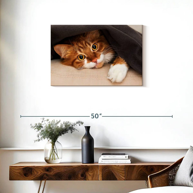 Crowle Cozy Cat, H 20 po x l 30 po